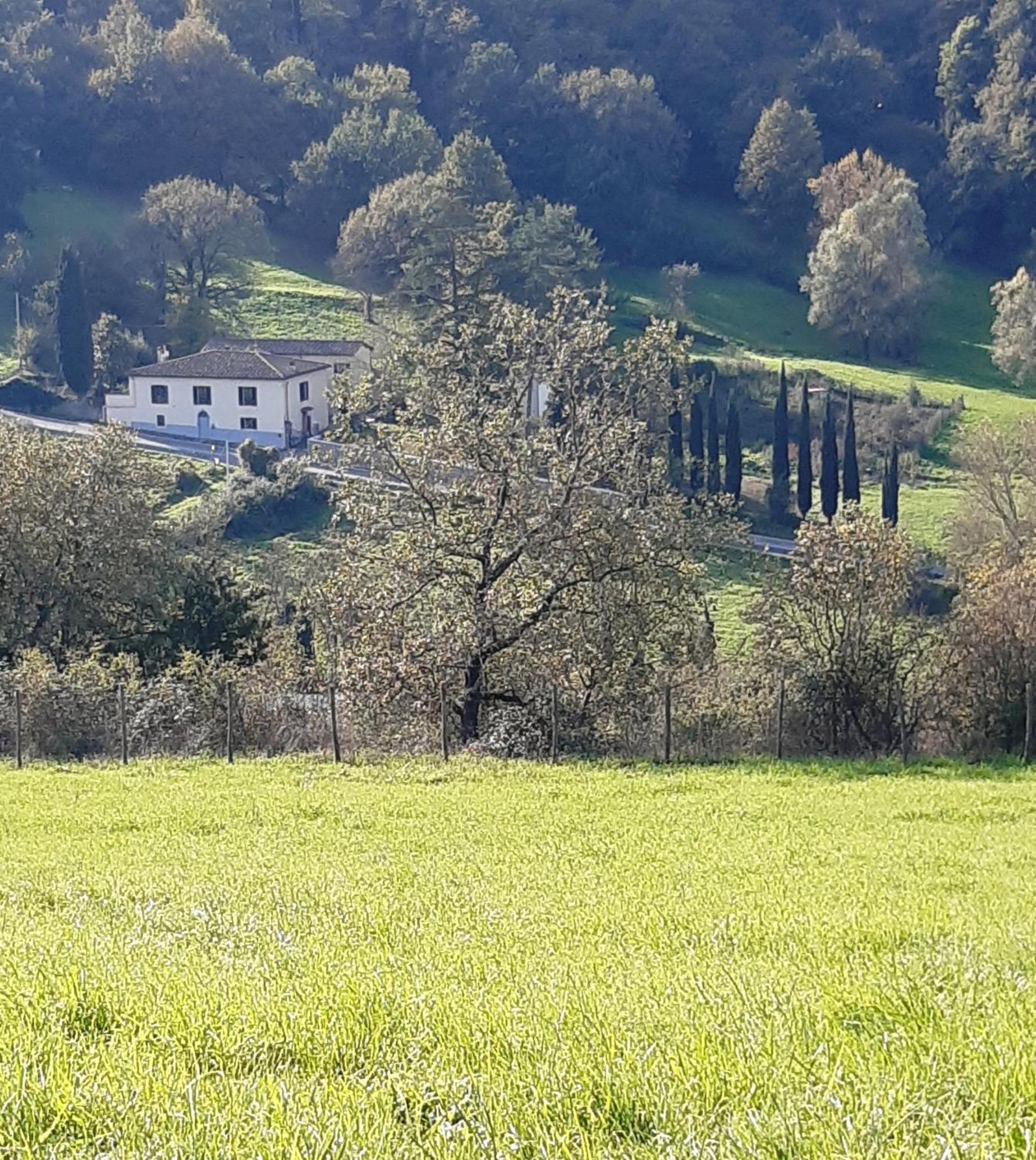 Casa Al Miglio Villa Pratolino Luaran gambar